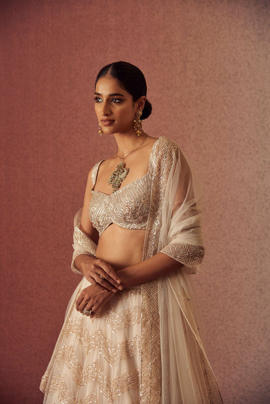 Moonlight Mirage Lehenga Set