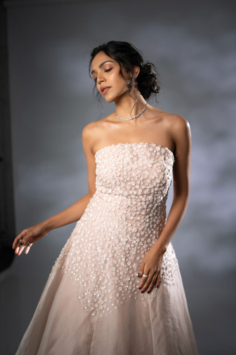 Shriya Pilgaonkar