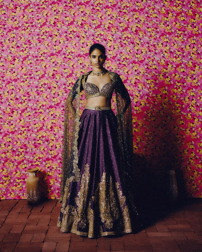 Mridula Lehenga Set