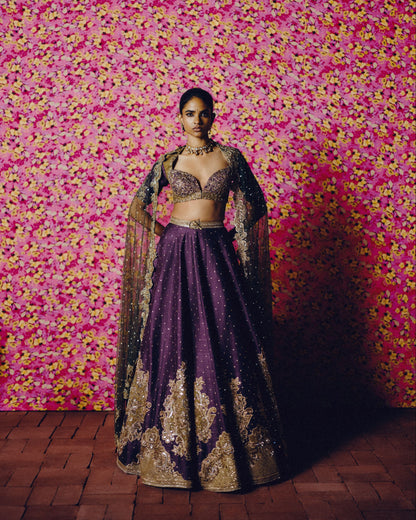 Mridula Lehenga Set