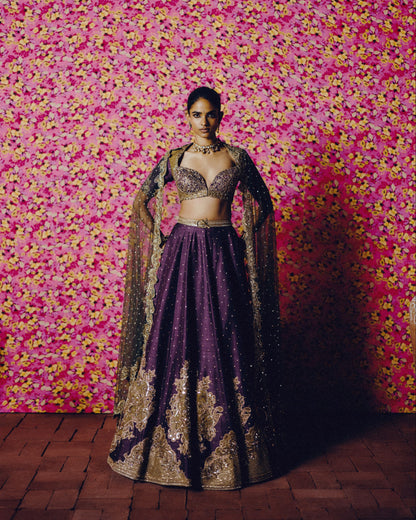 Mridula Lehenga Set