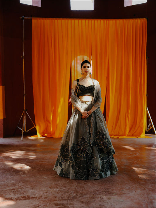 Olive Shadow Lehenga