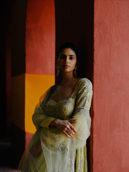 Primrose Anarkali