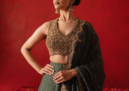Varniki Lehenga Set